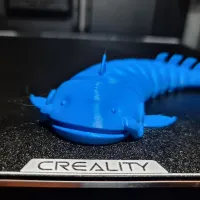Articulated Catfish-1