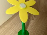 Eternal Dandelion-1