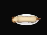 Gato caminando-3