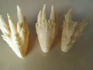 Peacock Flying Dragon
