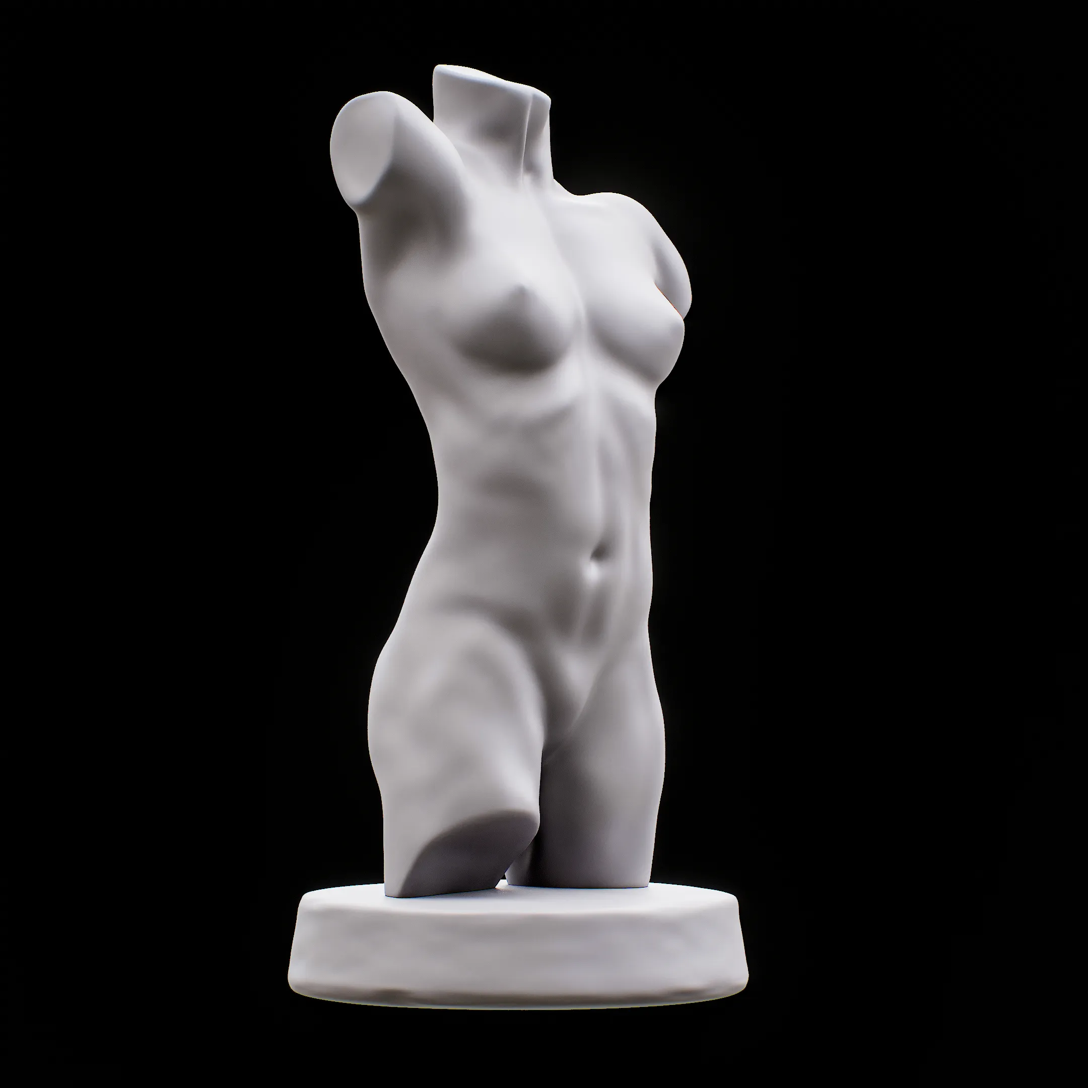 Female Torso for drawing art reference Muscle human Torso