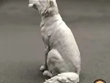 Border collie-2