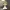 Funko Taylor Swift - Love