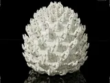 Dragon Egg No. 8-0