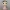 Funko Mujer con vestido de fiesta