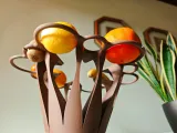 Seed to Fruit Bowl-1