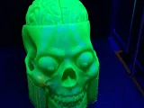 Cool Skull Full Size-1