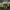 Jeep Willys Super Deformed Miniature