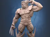Wolverine Unmasked-3