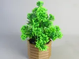 Hexagonal Bonsai Pot-0