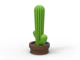 Cactus anal plug-2