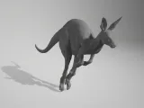 kangaroo 01-0