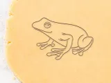 Frog Cookie Cutter, Biscuit Cutter-0