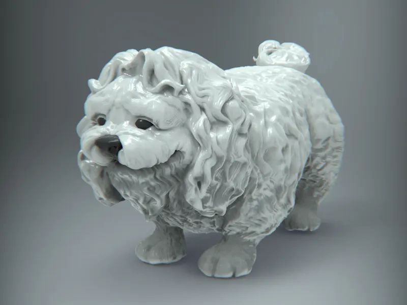 Bichon
