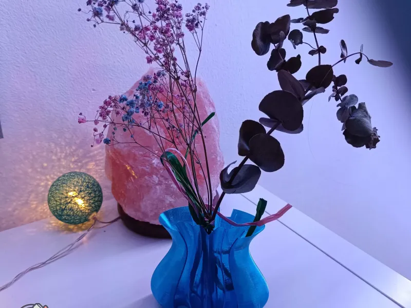 BatVase 🌿🦇 | A Unique Batman Logo Plant Pot & Vase