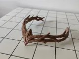 Forrest warrior princess tiara-4
