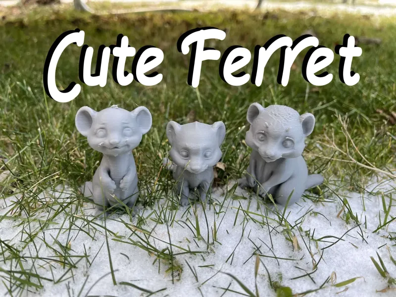 Cute Ferret