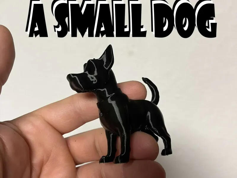 A small dog