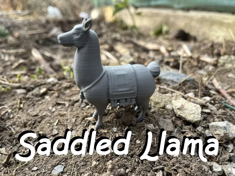 Llama ensillada