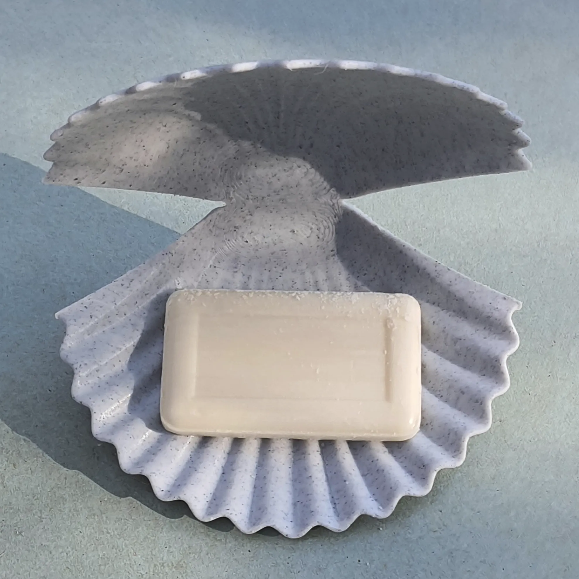 Soap dish in the form of a sea shell