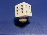 D6 Schoenbedel-2