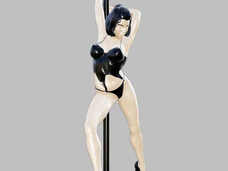 Sexy Pole Dancer 3