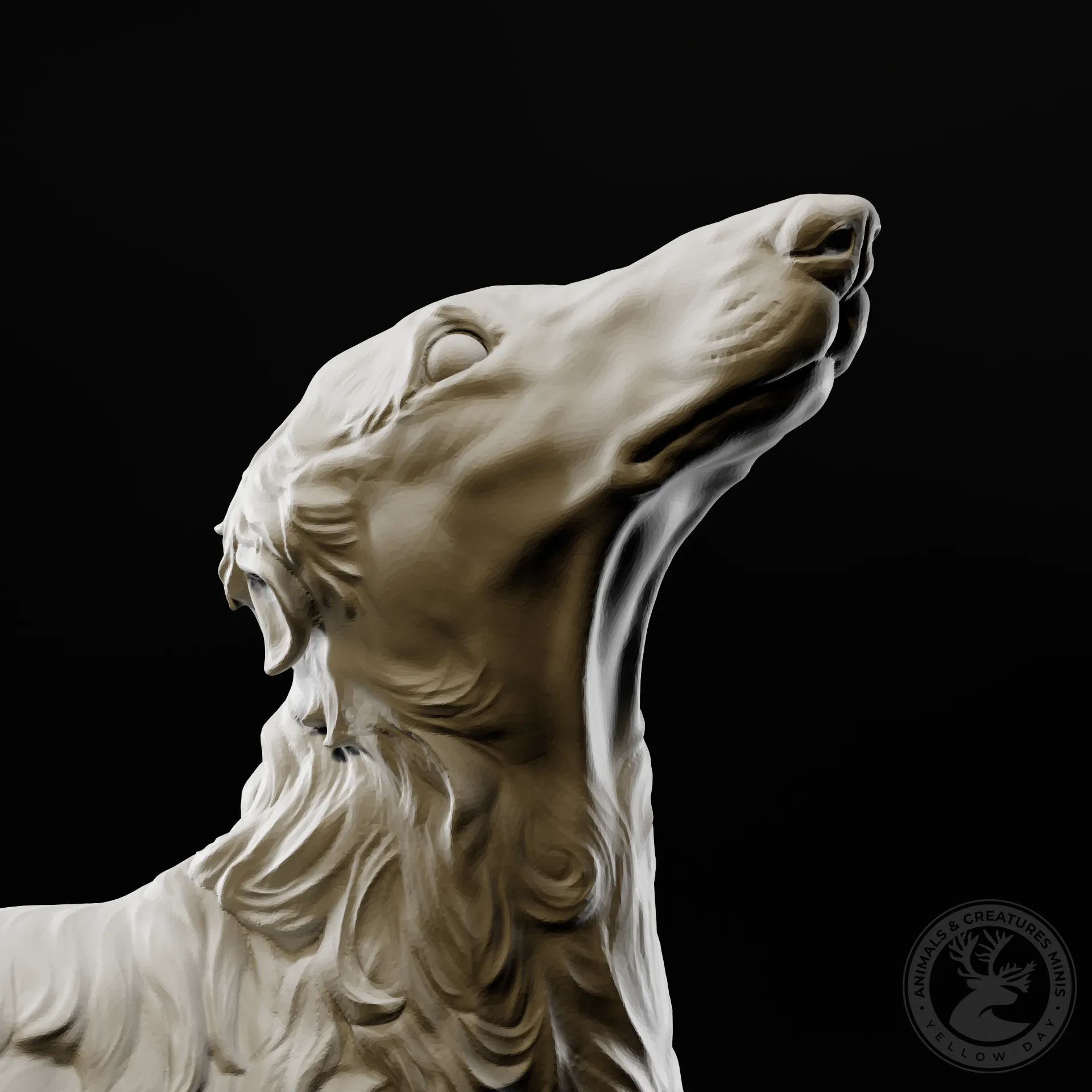 Borzoi