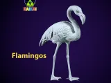 Crane model - flamingos urban vibes-1