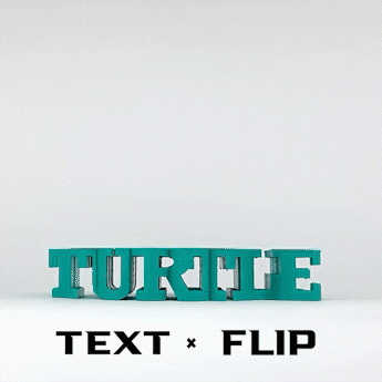 Text Flip - Turtle