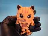 cat boxing articulated-3