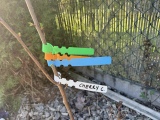 Waterproof plant markers, plastic plant hangers, garden plan-4