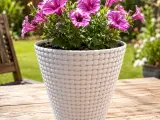 flower pot 001-2