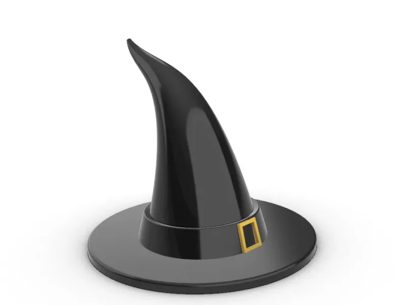 HALLOWEEN WITCH WIZARD HAT