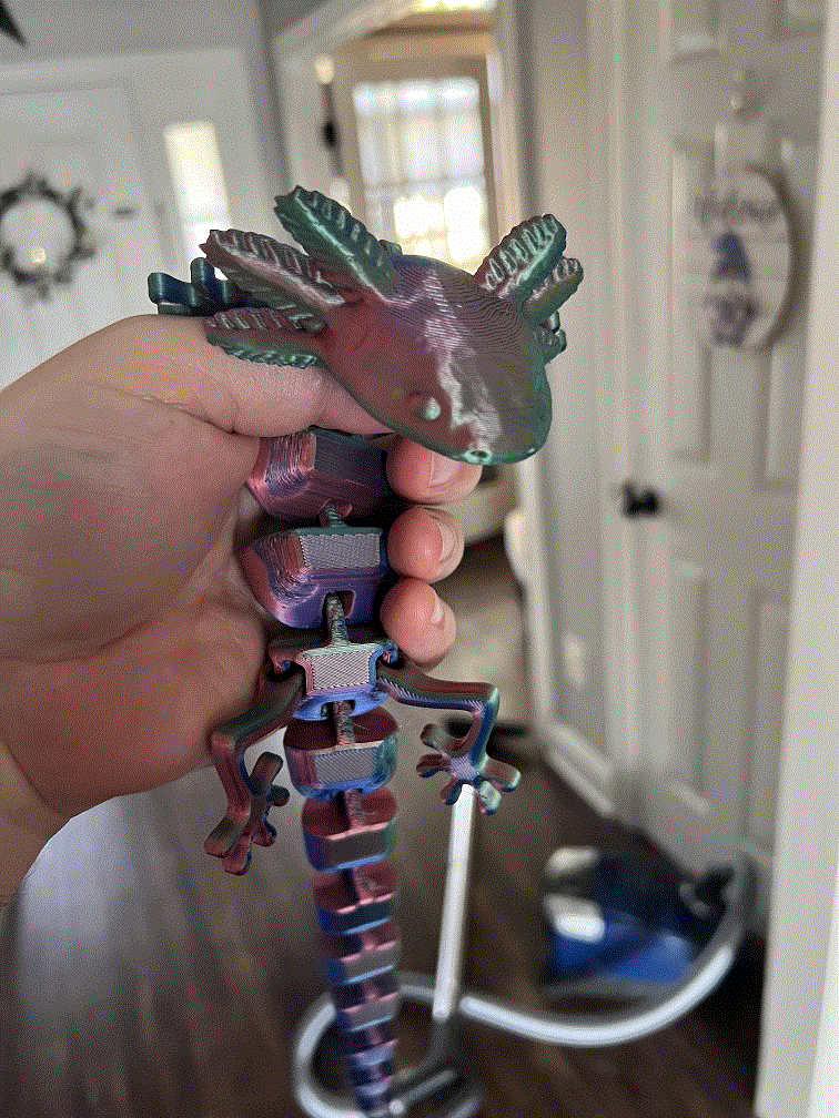 3D Printer Files | 3MF File | Articulated Axolotl
