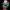Felix the Cat Christmas