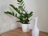 Flute Vase-1