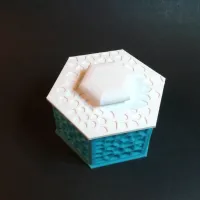 Voronoi Hexagonal Box-5