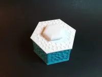 Voronoi Hexagonal Box-5