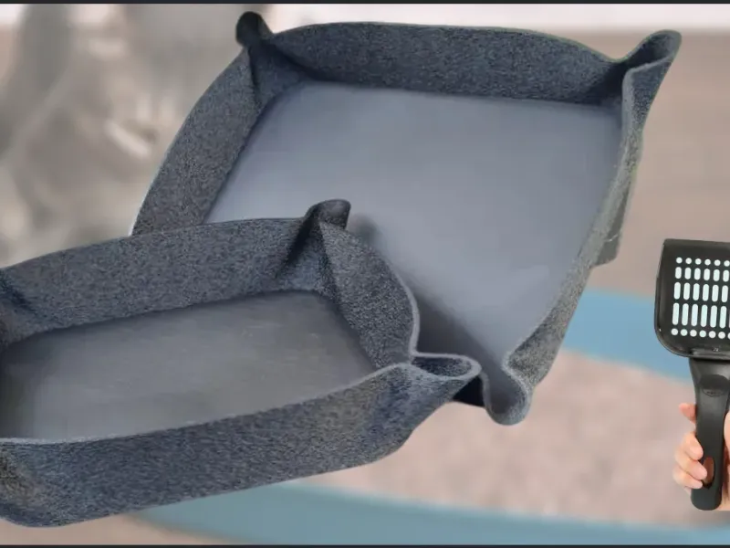 cat litter box