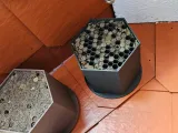 Artgerechtes Wildbienenhotel,  Wild Bee Hotel-1