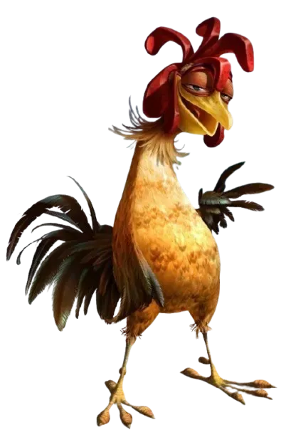 Surf's up - Chicken Joe