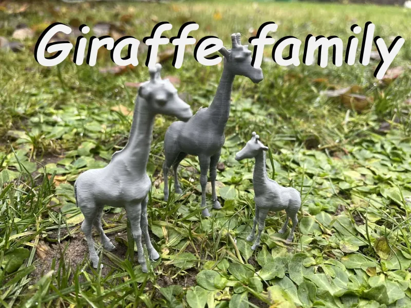 Famille de girafes au zoo