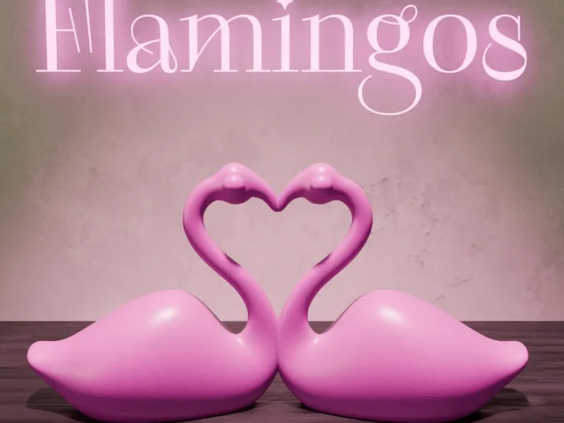 flamingos heart