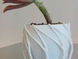 Pot Interior Decor P-3