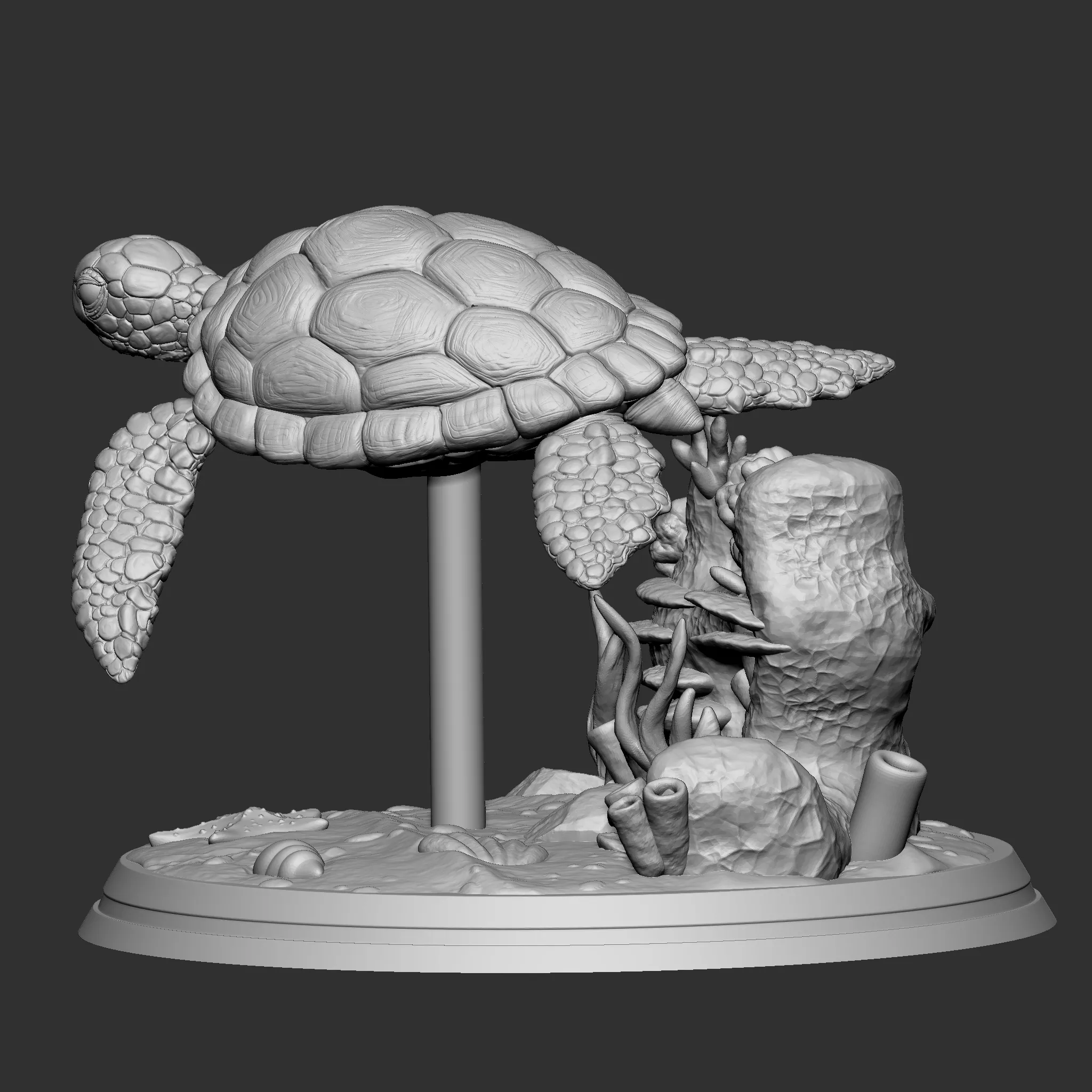 Green sea turtle 3D print model