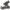 New Zealand Modified stock car Scale 1:25