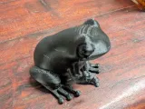 Pfeilgiftfrosch-5