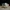 Couple Bear-office_mac_Yier