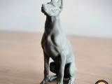 Doberman-3