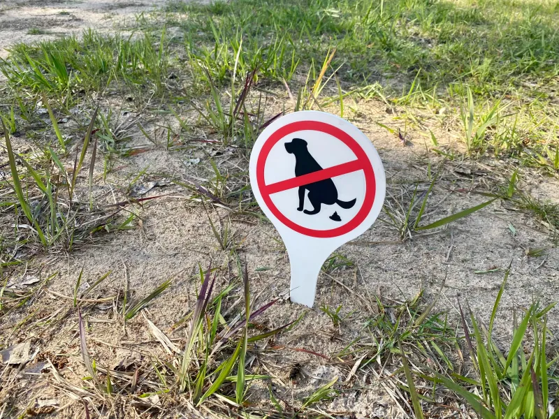 No Dog Poop Sign